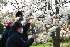共青森林公园恢复开放，游园旅客逾万