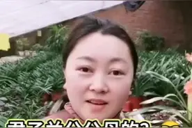 「云展厅」曾曾告诉你养护君子兰的小妙招图片