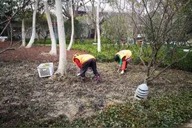 工期可顺延！建筑业送来“政策礼包”图片