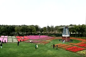 镇海：宁波植物园春色尽收眼底视频封面