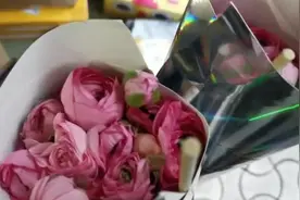 315维权丨杂牌电商卖鲜花质损不售后视频封面