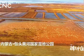 瞰中国｜一周精选视频封面