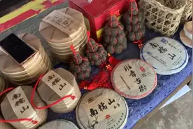 315调查｜普洱茶乱象②：古树成谜，造假成风视频封面