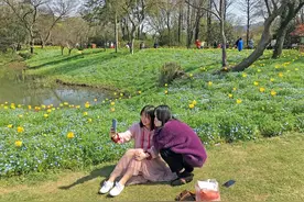 杭州：西溪湿地免费开放 游人欣赏最美春色图片