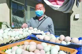 400多斤柴鸡蛋一天就卖光啦图片
