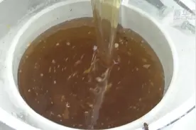 春暖花开 来品尝岭南荔枝蜜视频封面