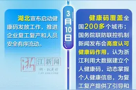 跑向全国满月了！一图看懂健康码“诞生记”图片