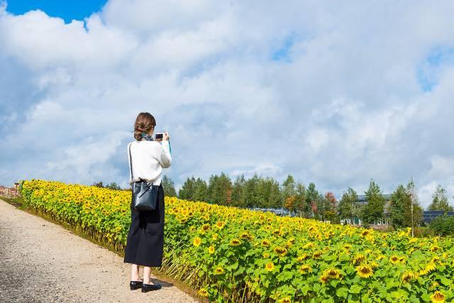温泉旅馆推荐&泡汤指南