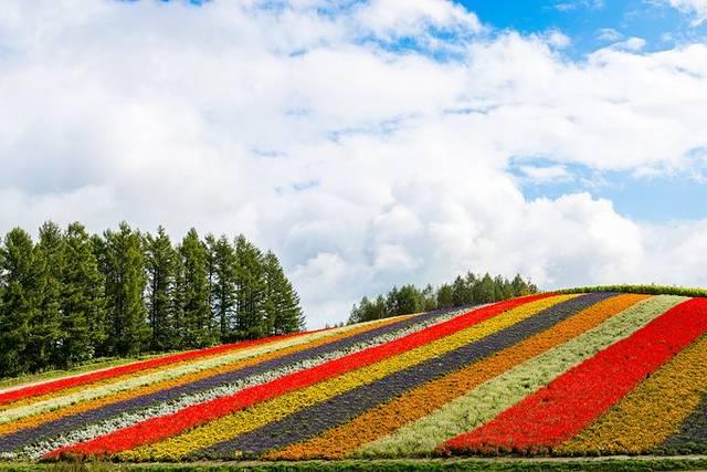 温泉旅馆推荐&泡汤指南