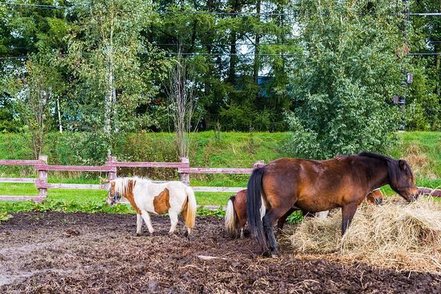 温泉旅馆推荐&泡汤指南