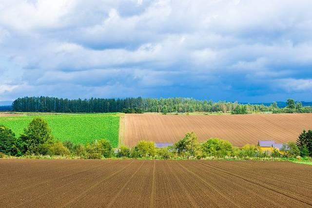 温泉旅馆推荐&泡汤指南