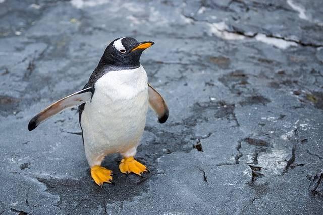 温泉旅馆推荐&泡汤指南