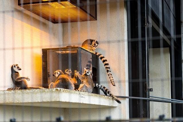 温泉旅馆推荐&泡汤指南