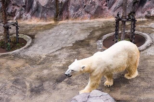 温泉旅馆推荐&泡汤指南