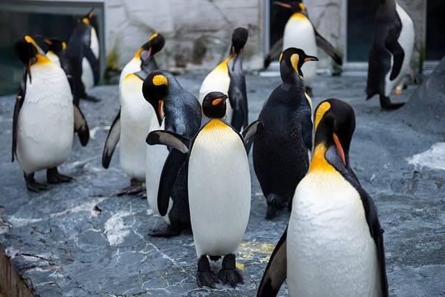 温泉旅馆推荐&泡汤指南