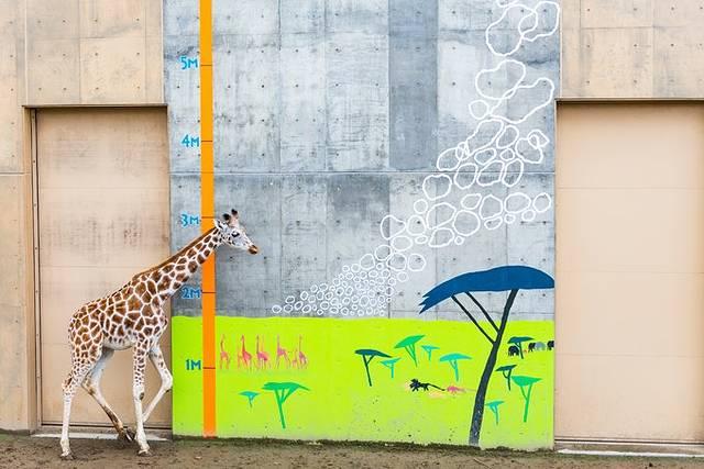 温泉旅馆推荐&泡汤指南