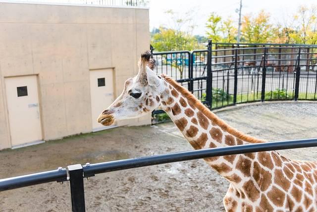 温泉旅馆推荐&泡汤指南