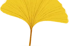 模特出身演员出道 娃娃脸欧尼来啦图片