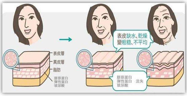 徐子淇花胶补身 徐子淇衣服