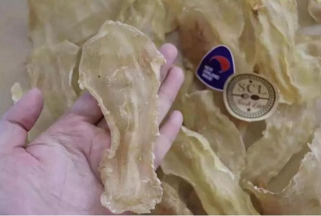 乳腺增生能喝花胶烫吗 乳腺增生可以食花胶吗