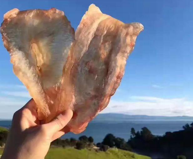 孕妇有小叶增生可以食花胶炖汤吗 2026年小叶增生能吃花粉吗