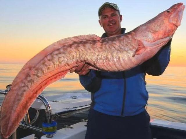 乳腺增生 可以吃花胶吗 2025年乳腺增生可以吃花胶吗女性