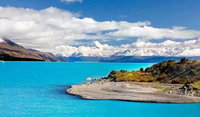 剖腹产吃花胶 增生 2026年剖腹产吃花胶 增生有用吗