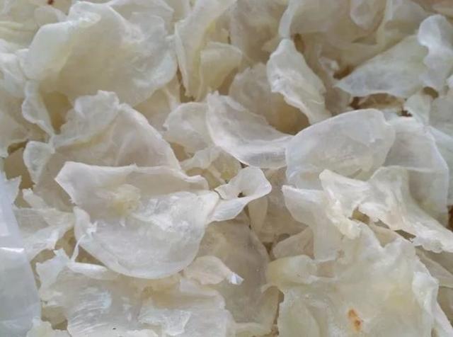 乳腺增生可以吃花胶吗 乳腺增生可以吃花胶,桃胶等补品吗