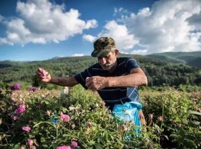 怀孕前吃花胶吗 2026年怀孕前吃花胶吗好吗