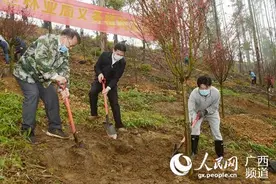 自治区林业局200多名干部职工植树50多亩图片