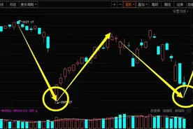 暴走A股：抄底中兴通讯的股民 我能说你活该亏钱吗？图片