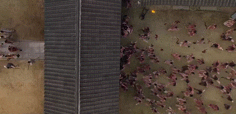 王国丧尸小游戏（王国第二季又被吹爆）