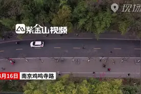 南京：鸡鸣寺路樱花开了 电子票可网上预约视频封面