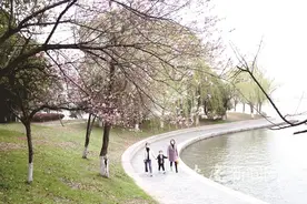 春花烂漫时，景色能错过？来吧，一起去赏花图片