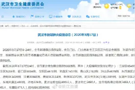 武汉市新冠肺炎疫情动态（2020年3月17日）图片