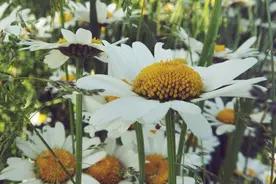 通透入心的人生感悟短语，内涵深刻，读读受益无穷图片