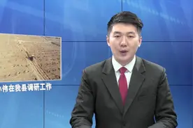 本地资讯：武山新闻2020年3月16日视频封面