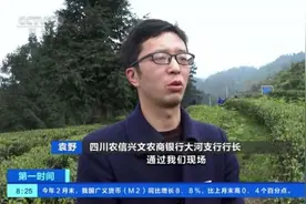 四川农信兴文农商银行：金融活水“润”早茶 百万贷款暖人心图片