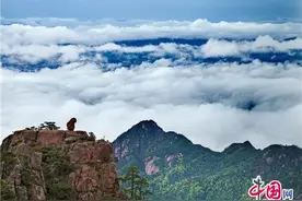 黄山：春和新雨落，春风吹满山（组图）图片