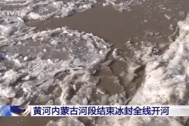 气温回升 黄河内蒙古河段结束冰封全线开河图片