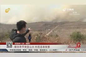 烟台牟平突发山火，整片山坡被浓烟笼罩，细查竟是村民抽烟惹的祸视频封面