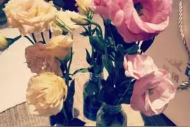 「湖北救援日记」ICU的女医生，要像“花坚强”一样绽放图片
