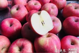 “沂蒙六姐妹”家乡一果农20万斤苹果滞销，大众报人携手助农图片