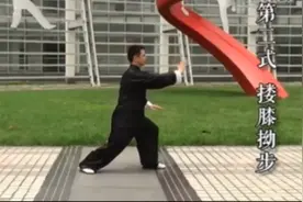 科学健身｜武术教练带你学习八式太极拳图片