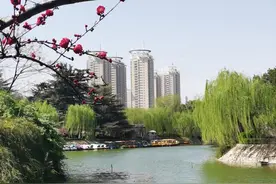 紫荆花开灿若烟霞！郑州紫荆山公园繁花似锦、姹紫嫣红图片
