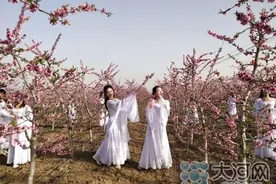 春风十里桃花香！河南叶县：千亩桃花开正艳 农旅融合促民富图片