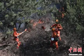 直击山西武警突击队扑救榆社山火图片