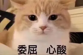 想回寝室是假的，想学室友的方言是真的……图片