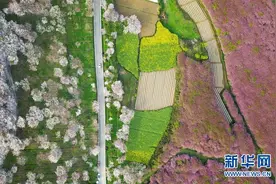 贵州：一路繁花相伴图片