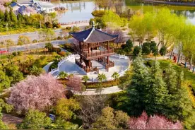 洛阳兴洛湖公园实拍，VR全景带你“云赏花”！图片
